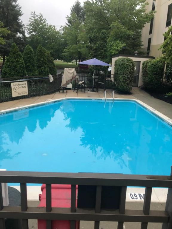 hotel image 24