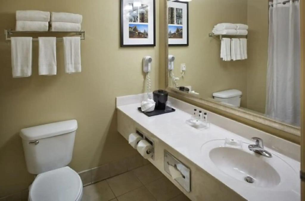 hotel image 21