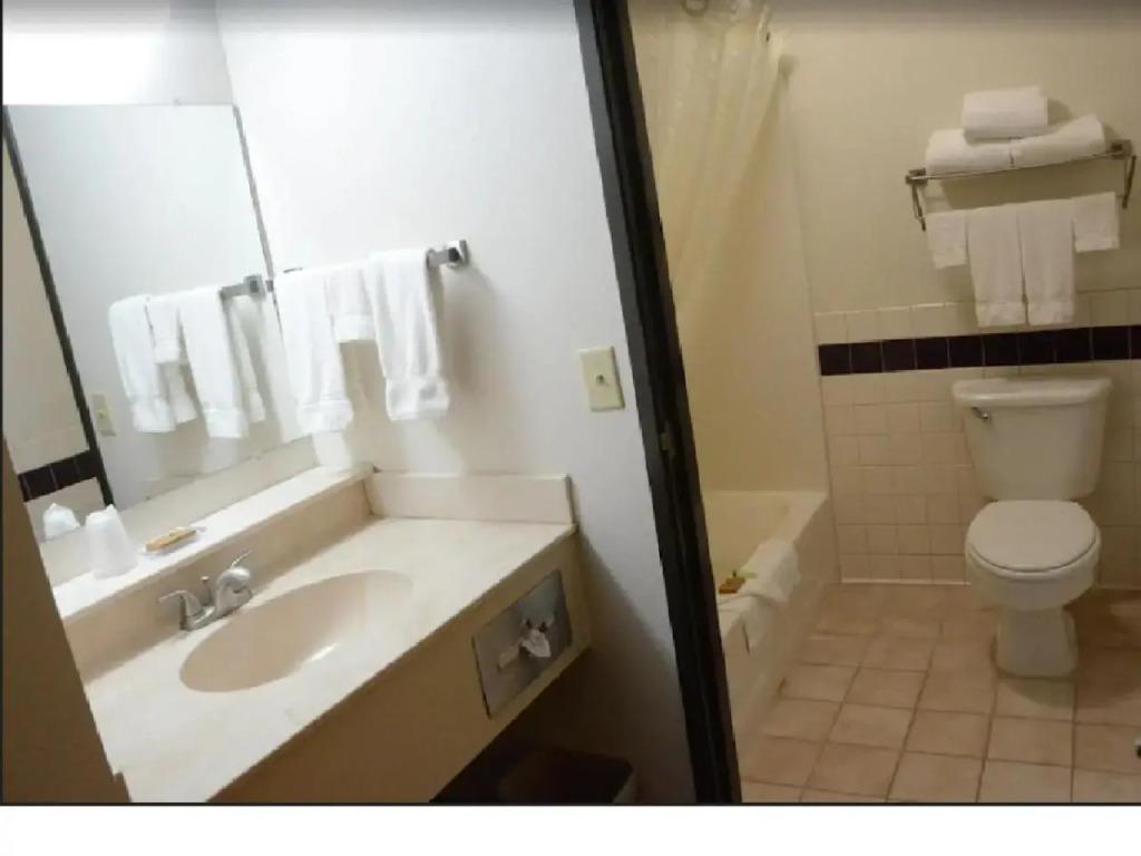hotel image 11