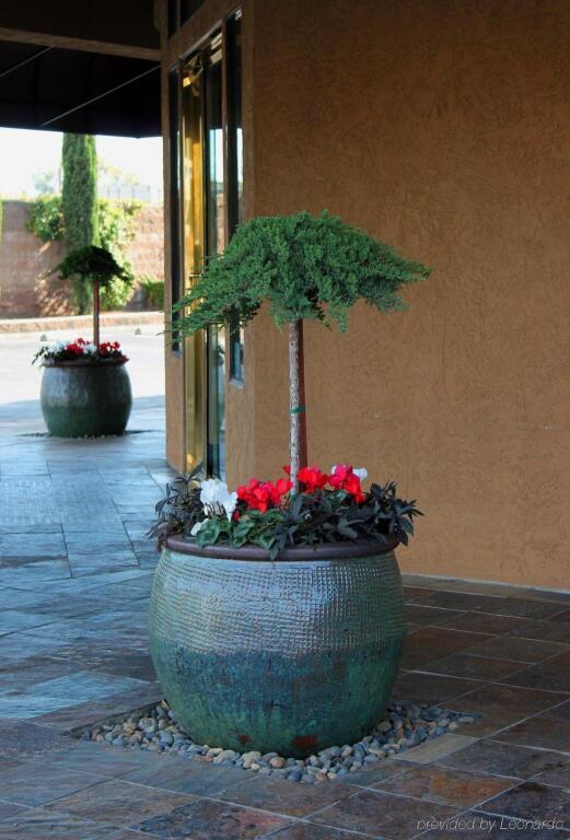 hotel image 26