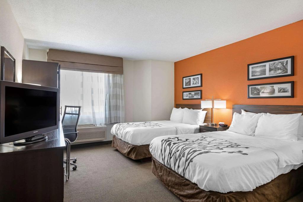 hotel image 31