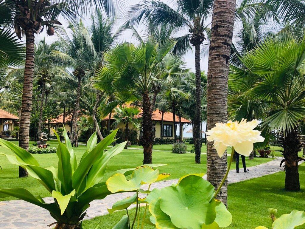 hotel image 13