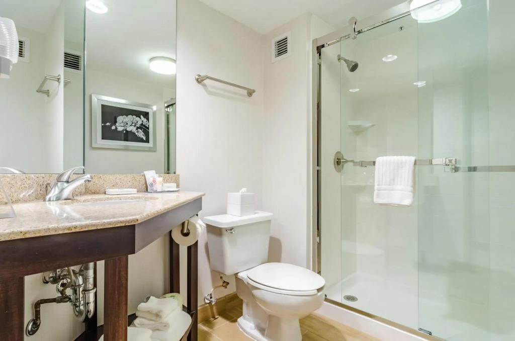 hotel image 20