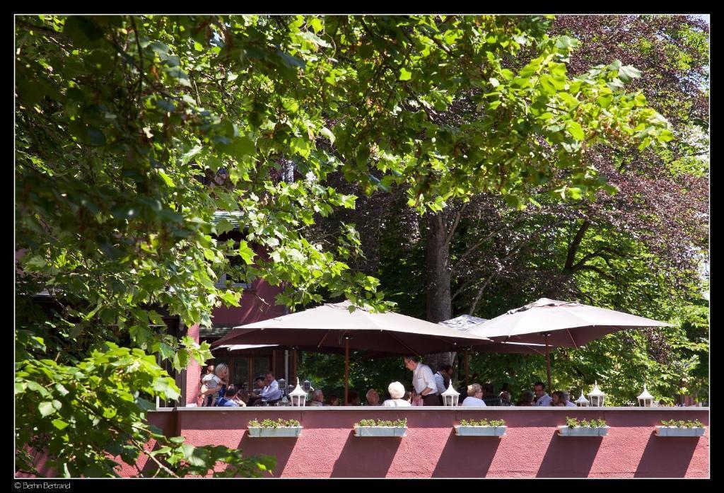 hotel image 14
