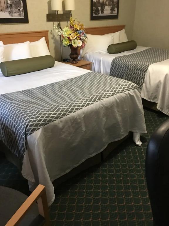 hotel image 28