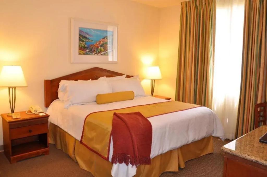 hotel image 19