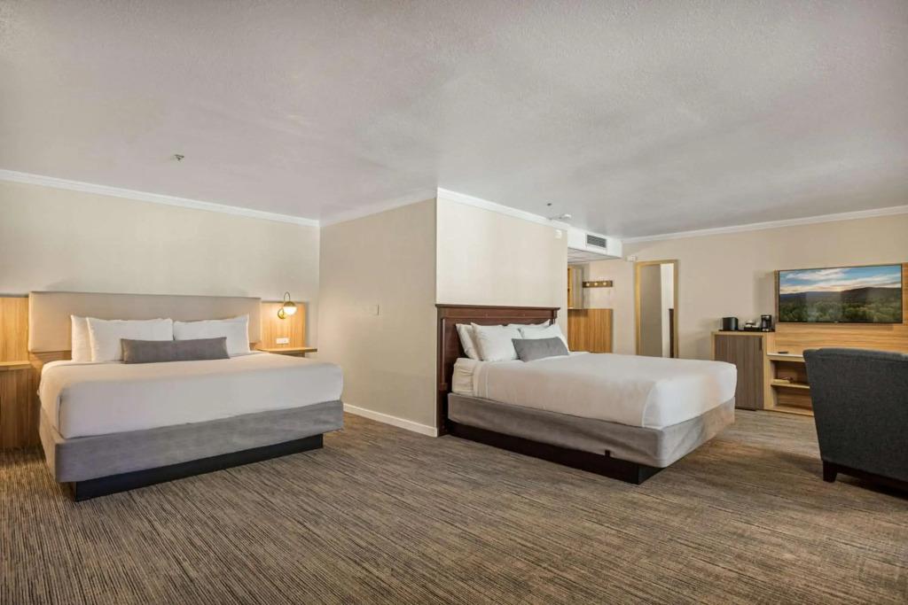 hotel image 28