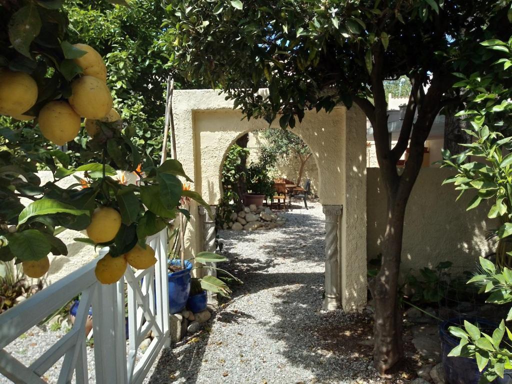 hotel image 8