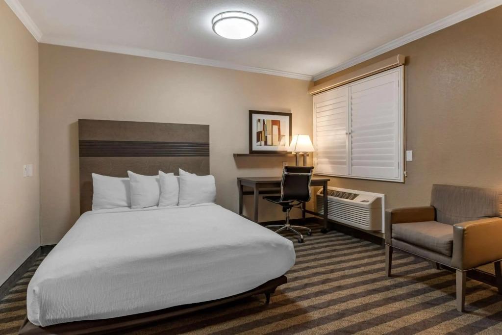 hotel image 41