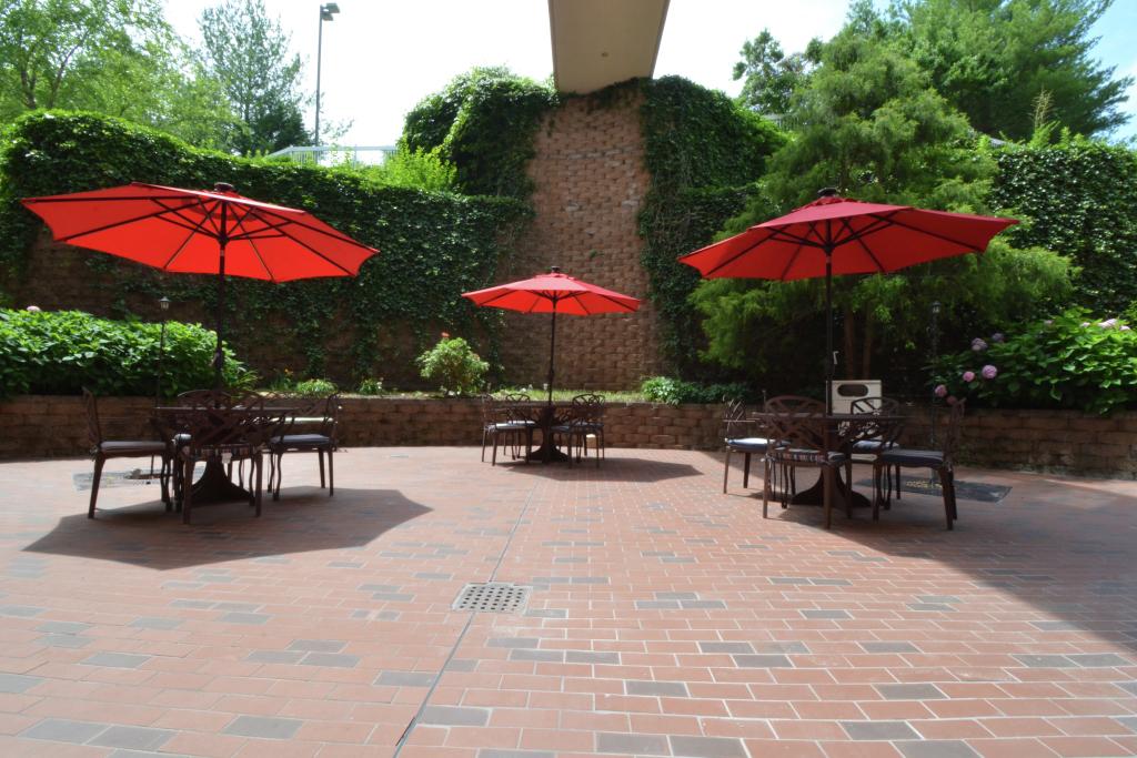 hotel image 13