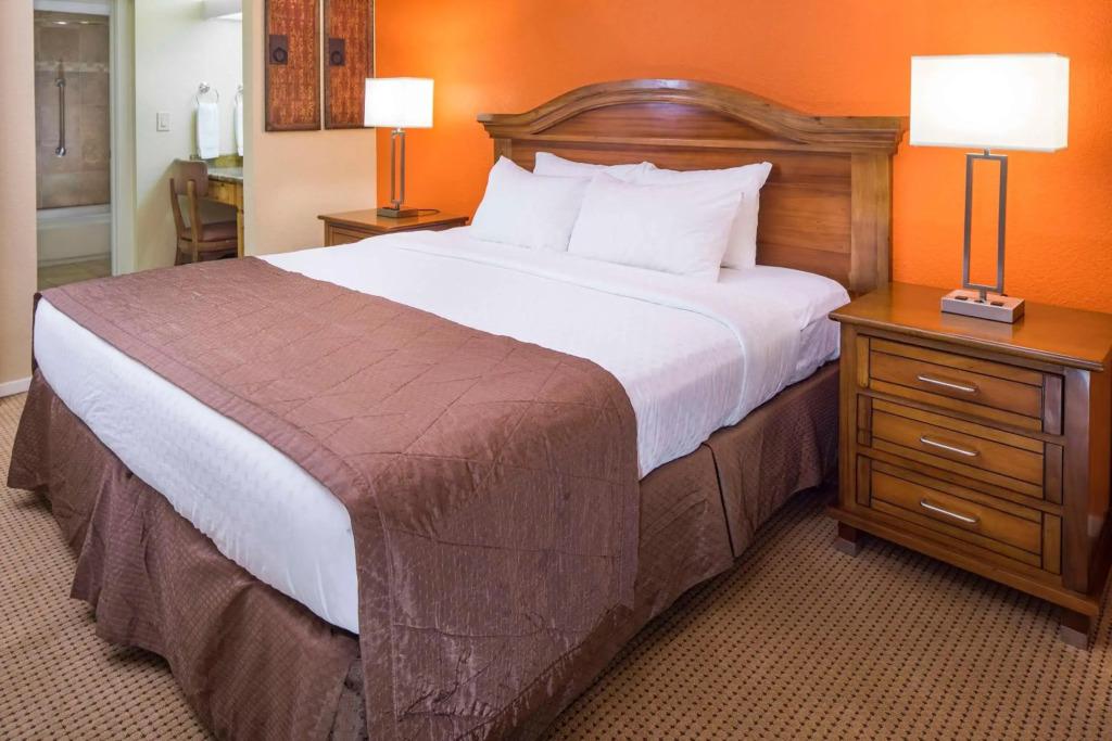 hotel image 19