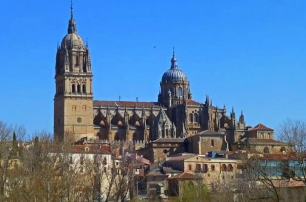 hotel image 31