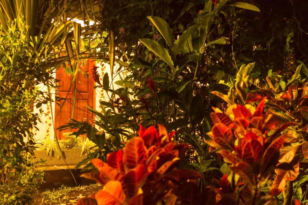 hotel image 23