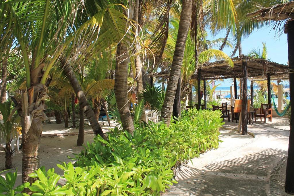 hotel image 19