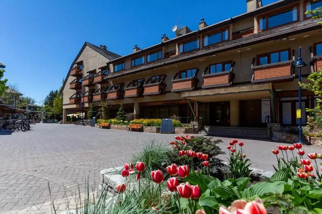 hotel image 41