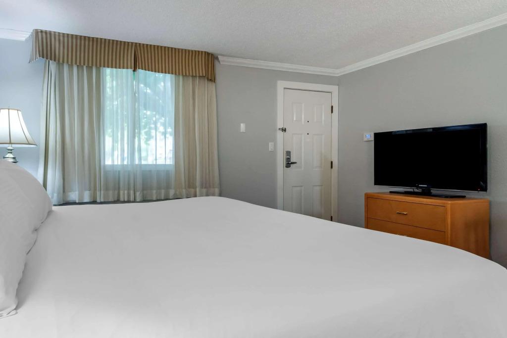 hotel image 21