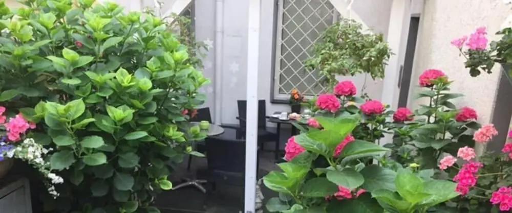 hotel image 13