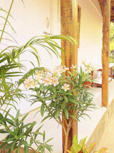 hotel image 25