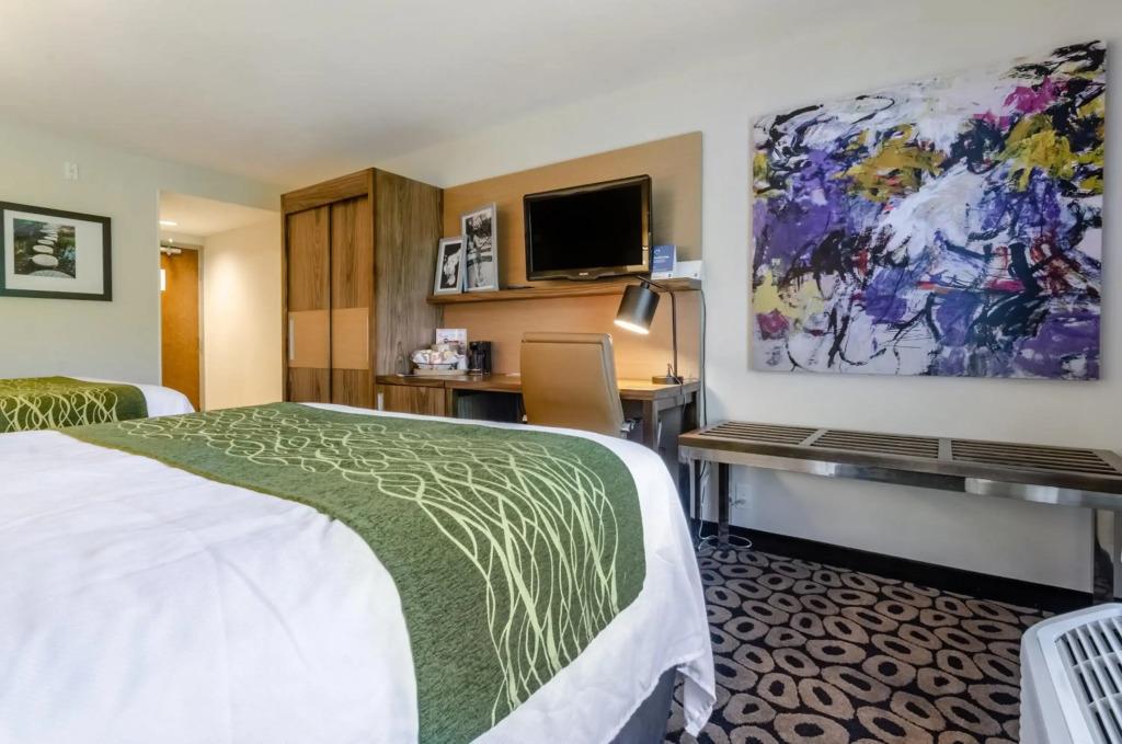 hotel image 37