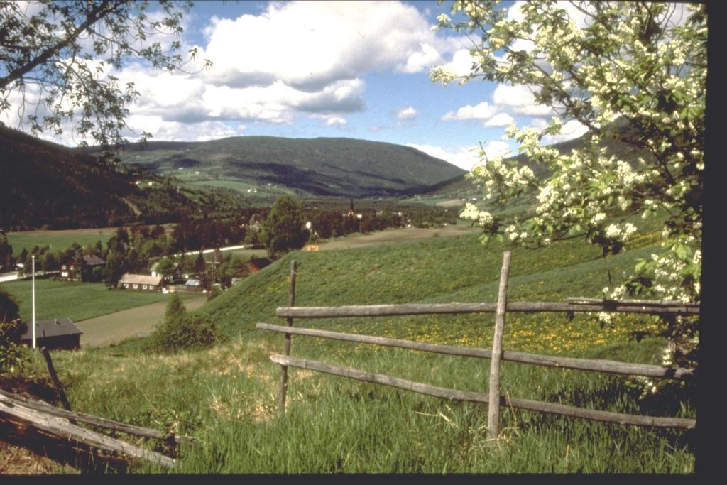 hotel image 23