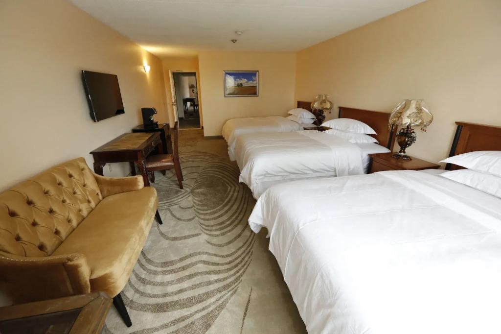 hotel image 9