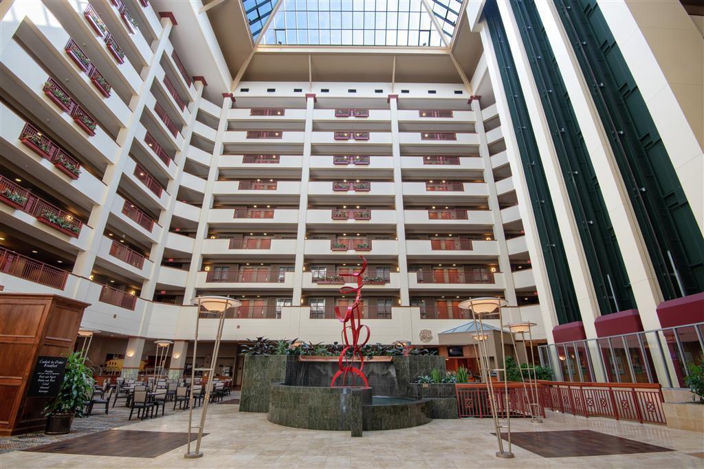 hotel image 19