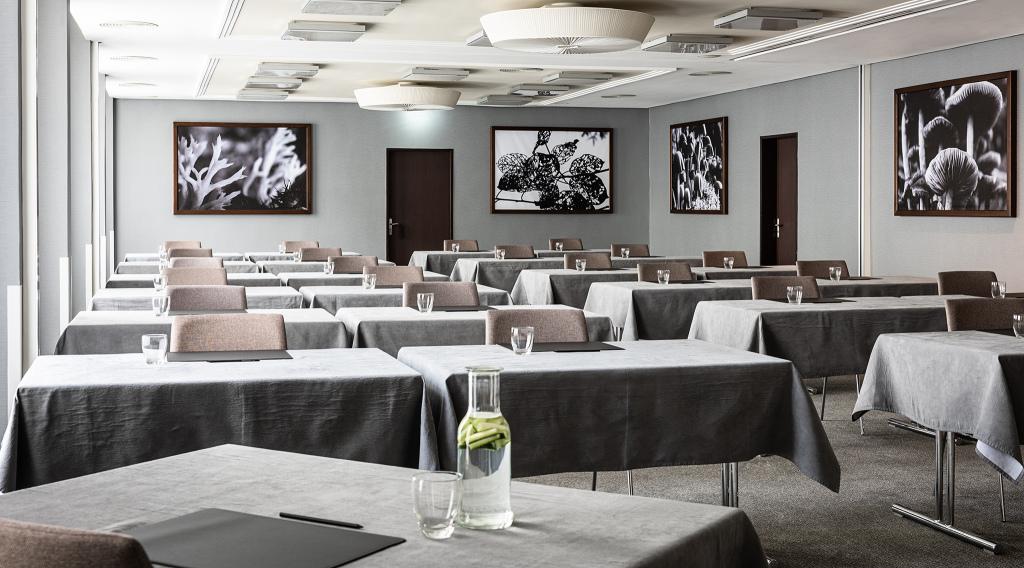 hotel image 10