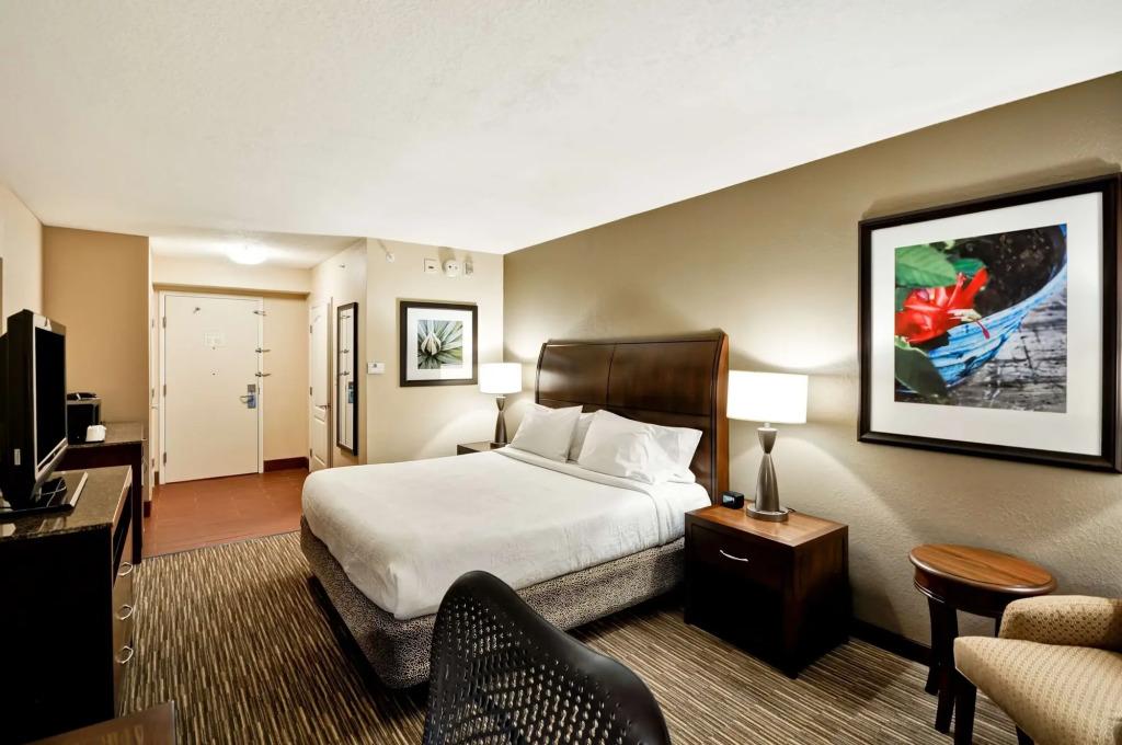 hotel image 16