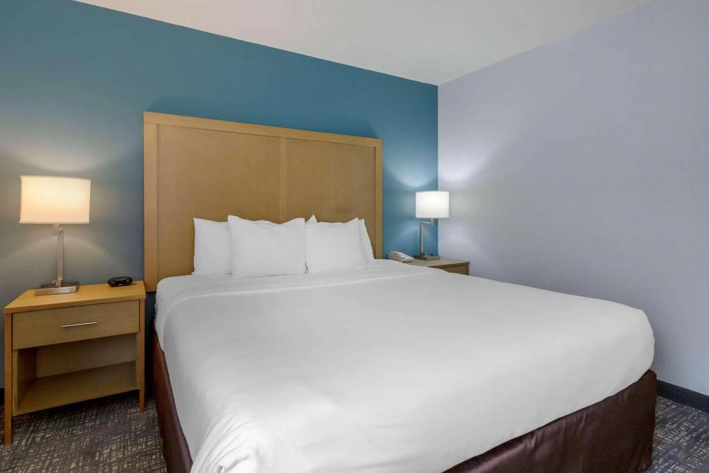 hotel image 41