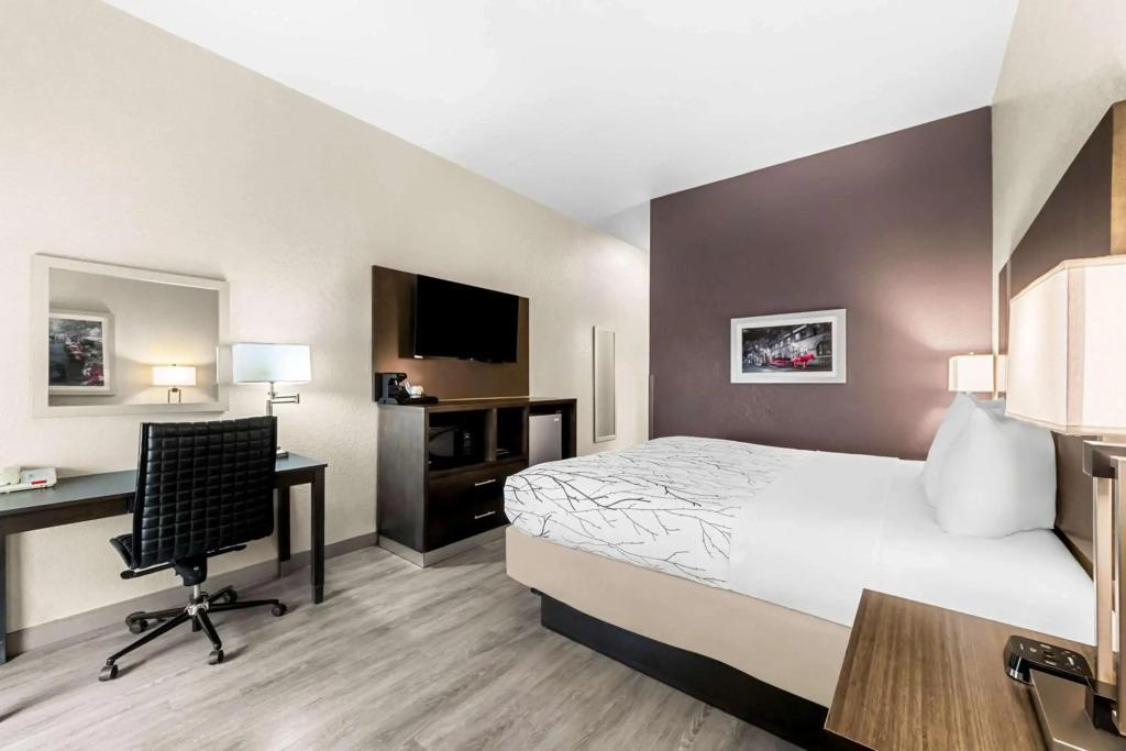 hotel image 13