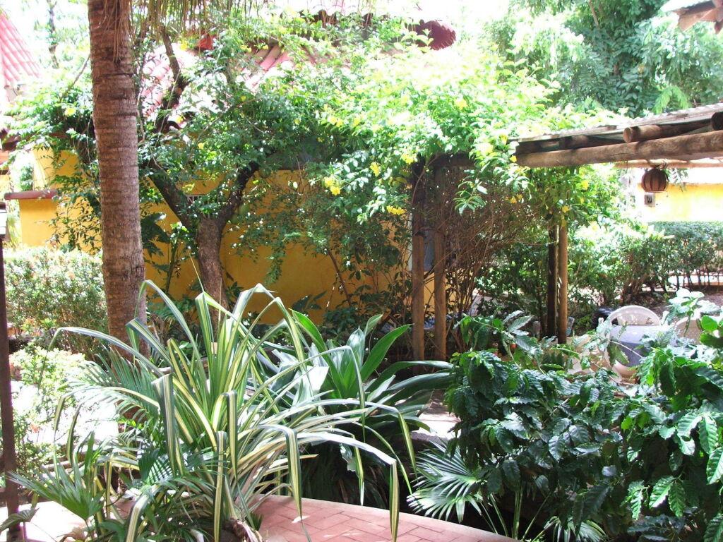 hotel image 7