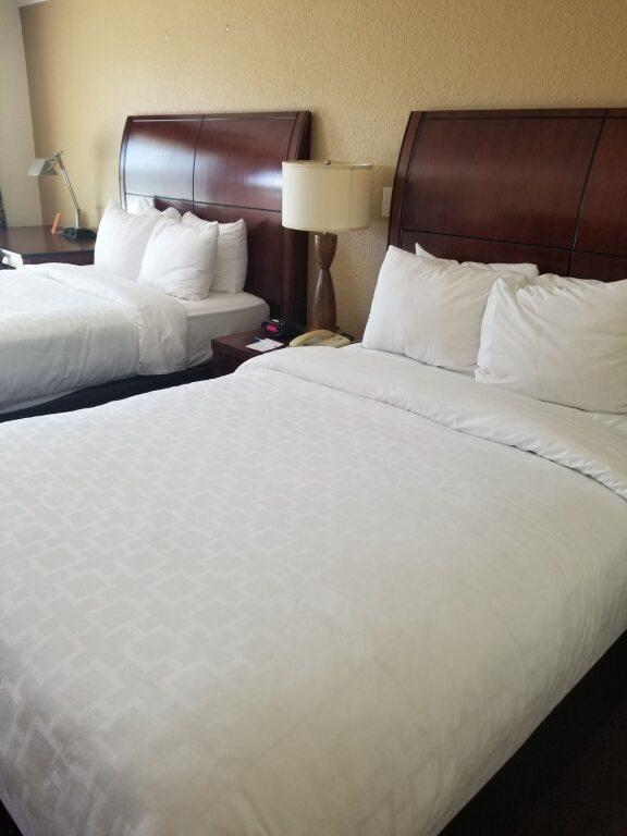 hotel image 21
