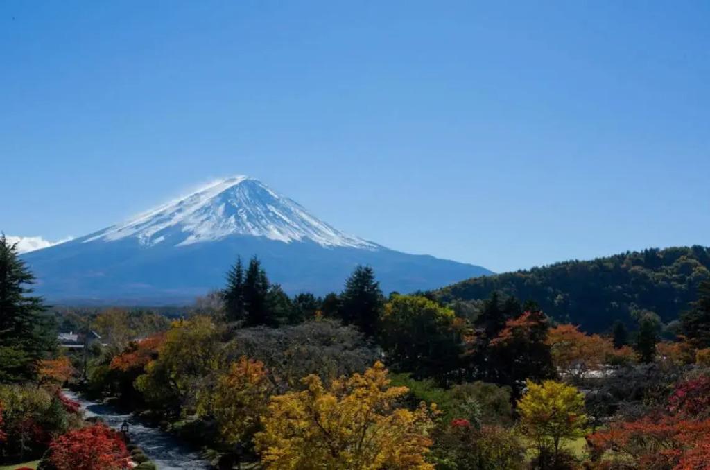 hotel image 35