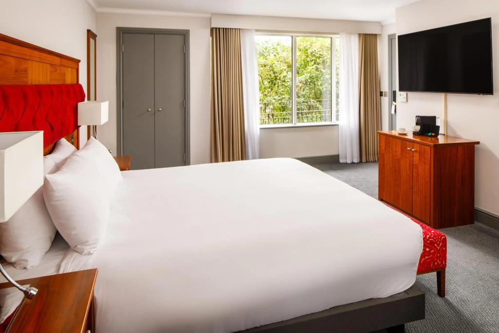 hotel image 24