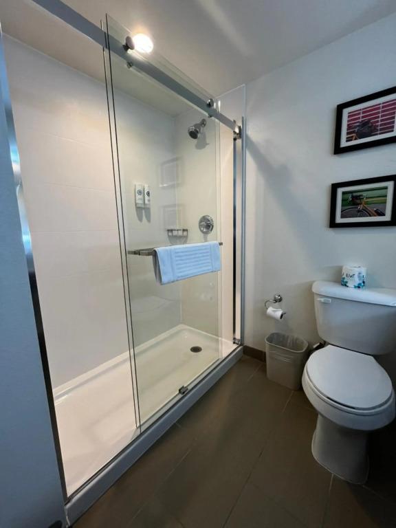 hotel image 19