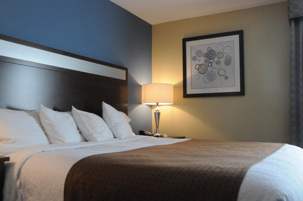 hotel image 41
