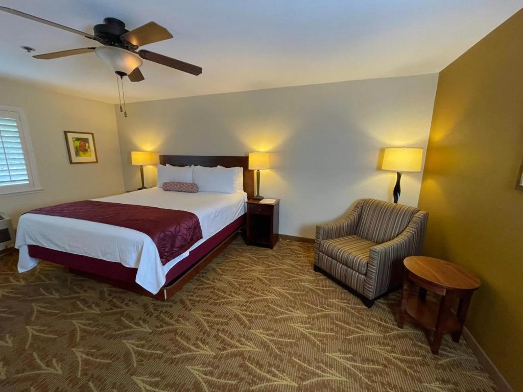 hotel image 23