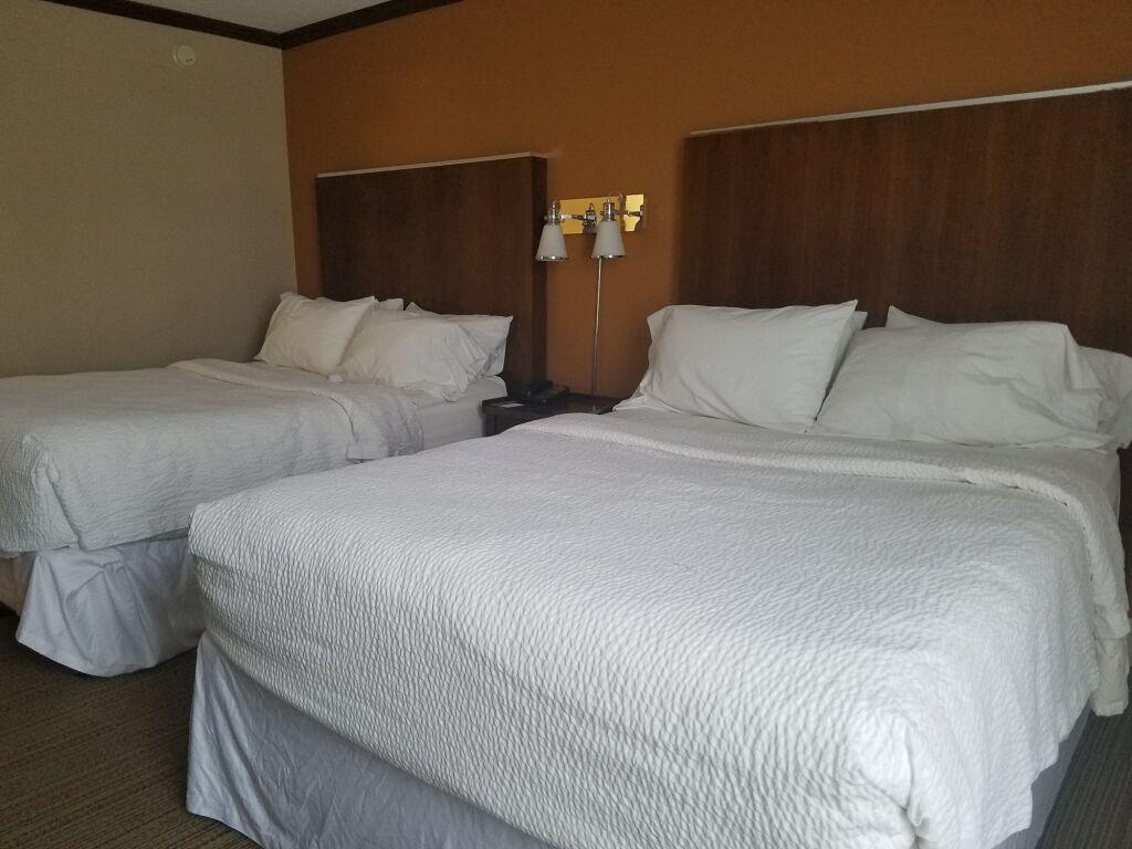hotel image 24