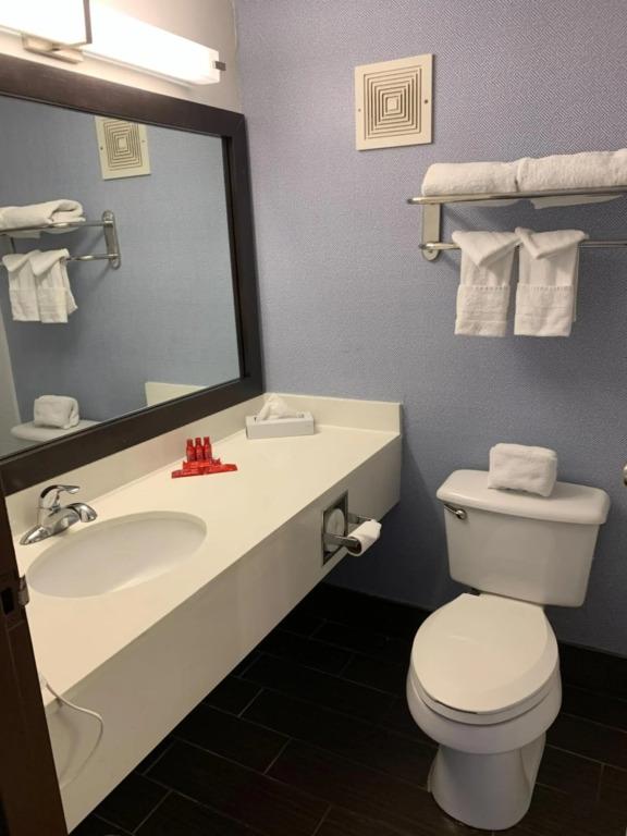 hotel image 7