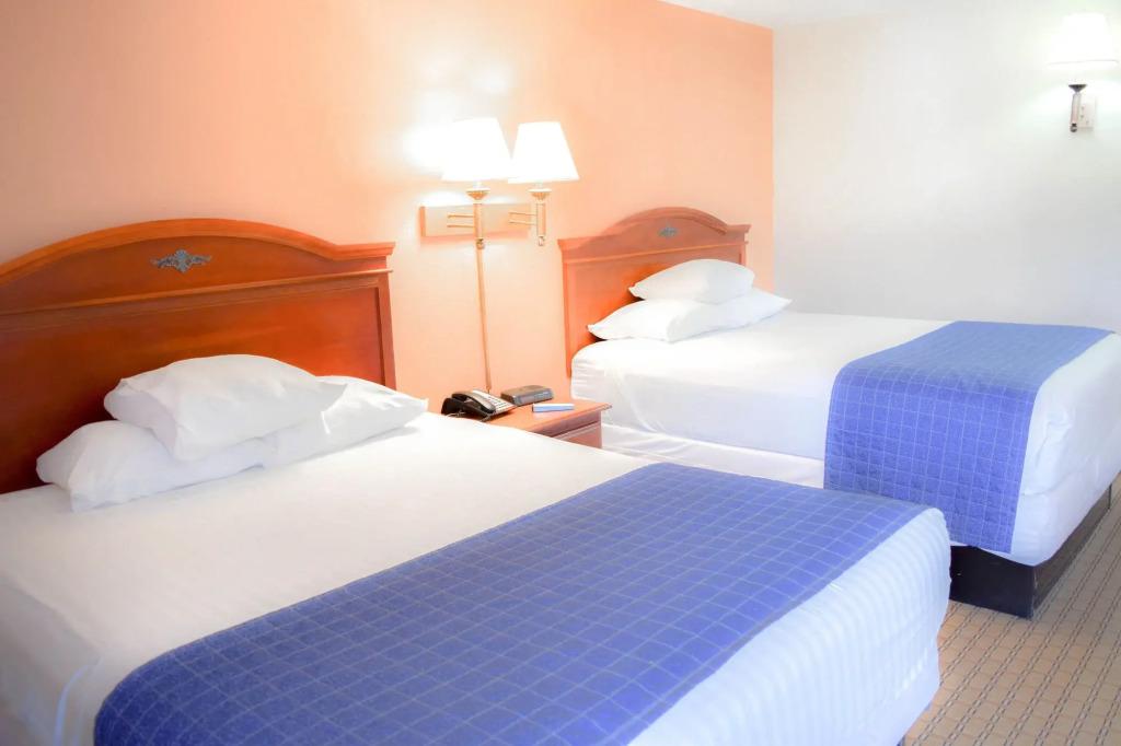hotel image 38