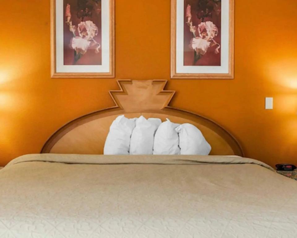 hotel image 21