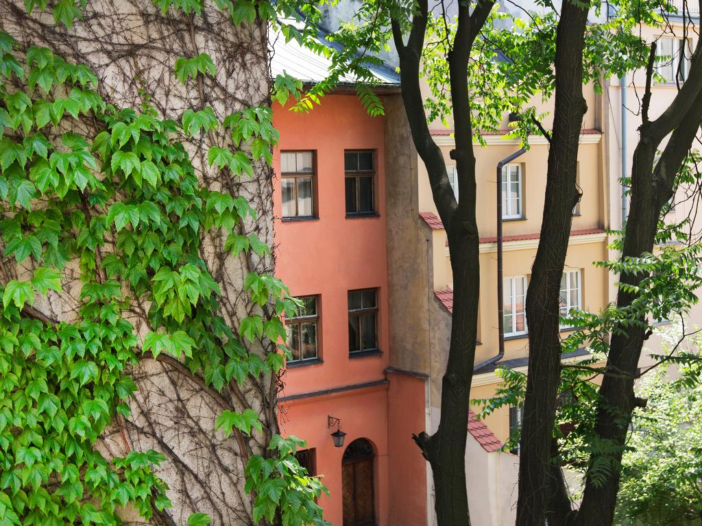 hotel image 8