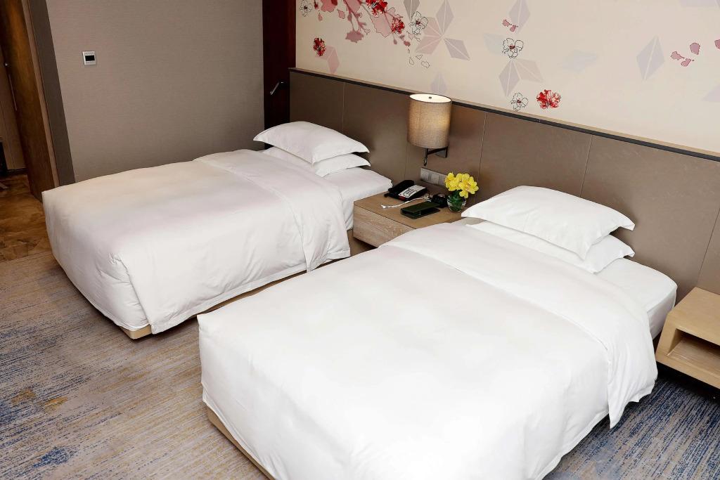 hotel image 24
