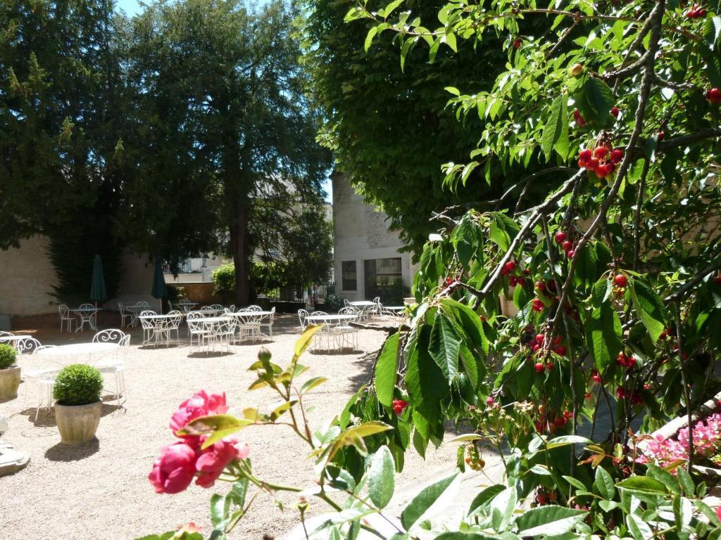 hotel image 11