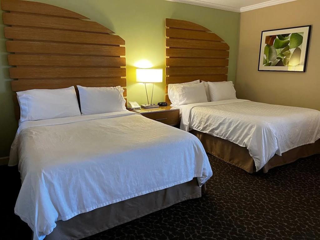 hotel image 24