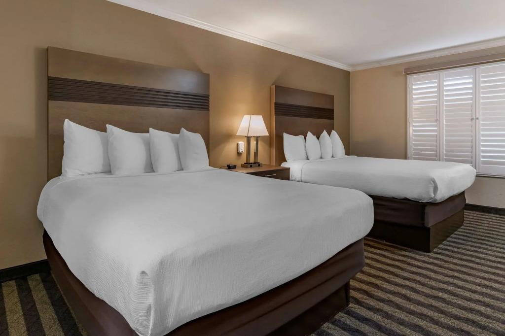 hotel image 42