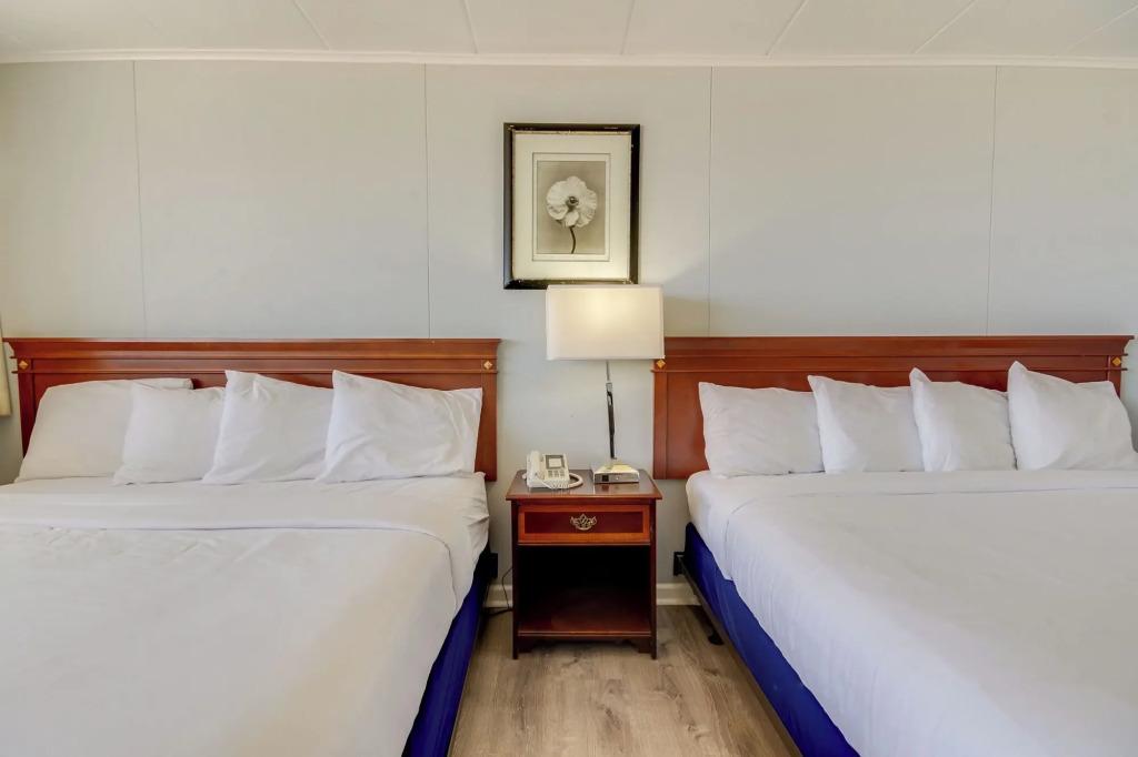 hotel image 20