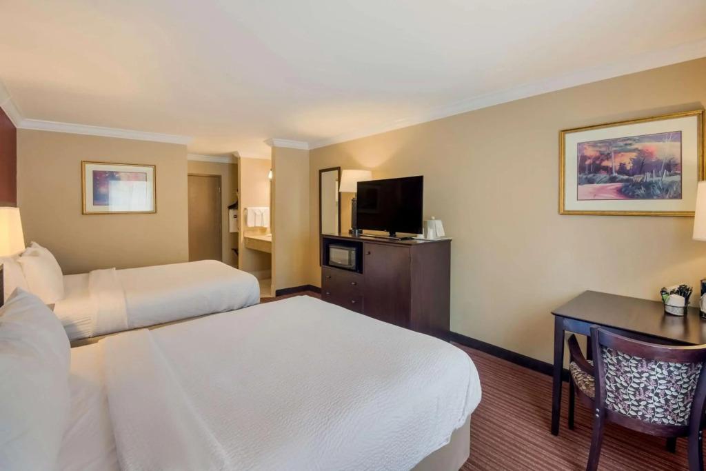 hotel image 23