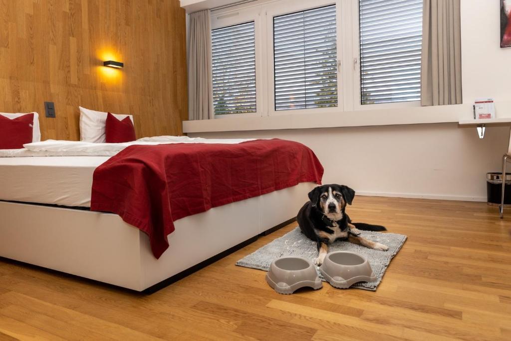 hotel image 8