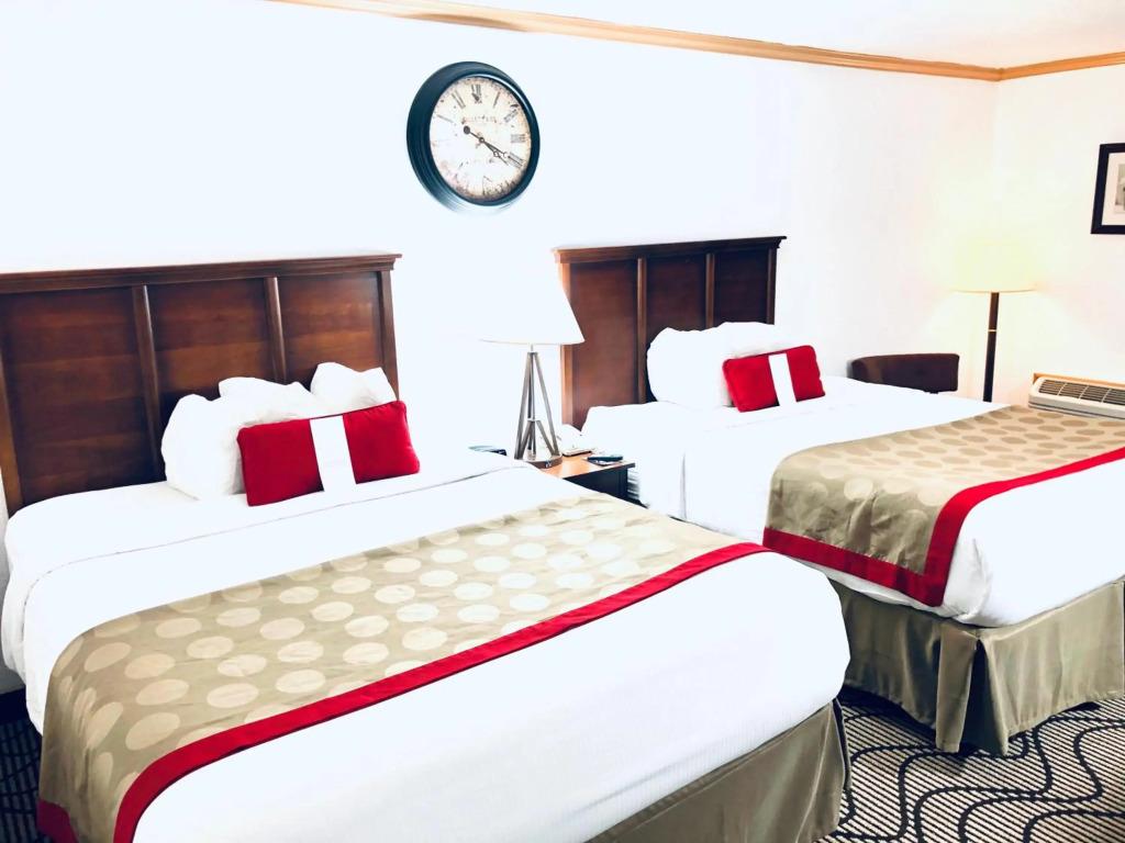 hotel image 21